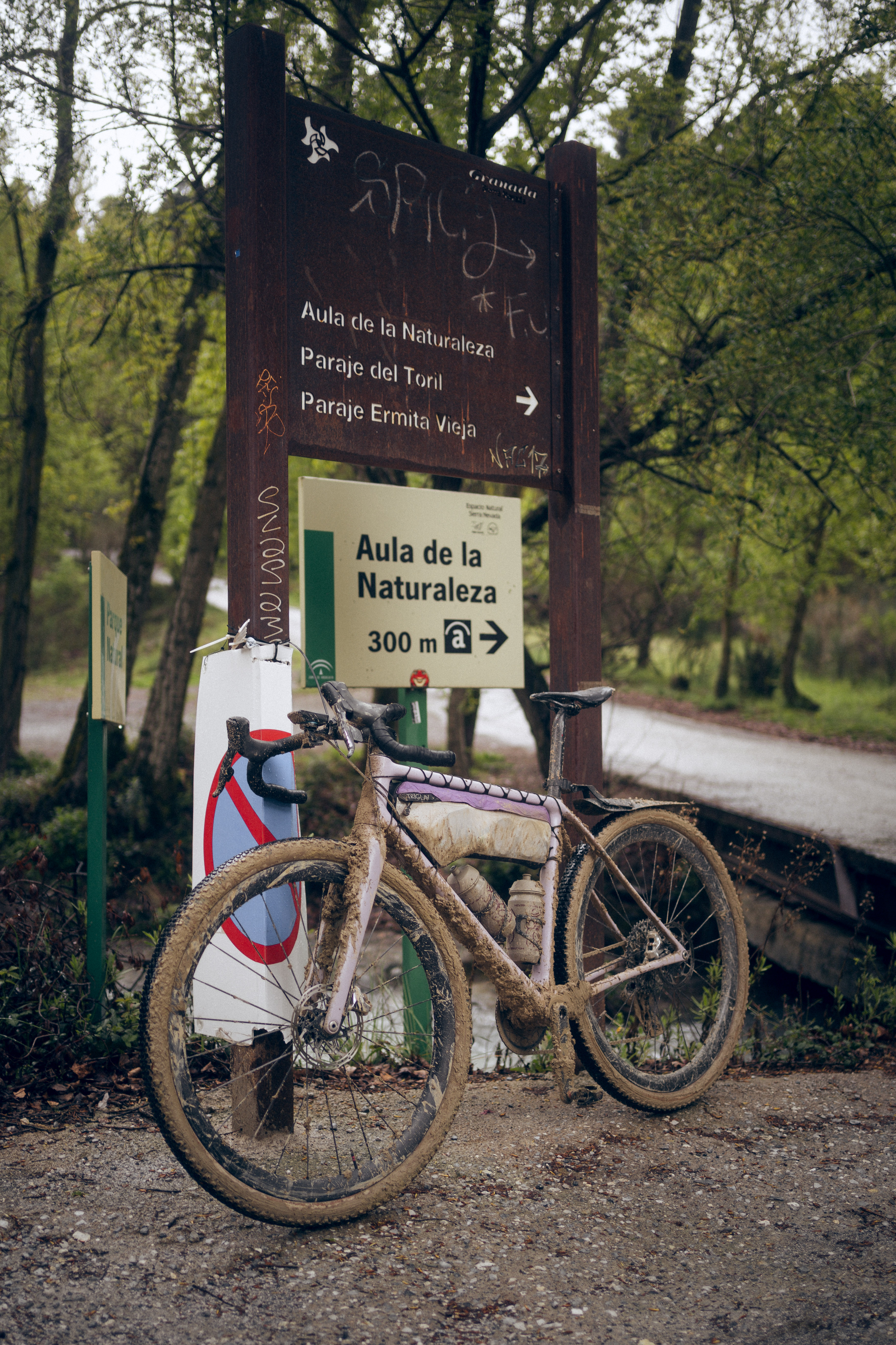 CarbonOne